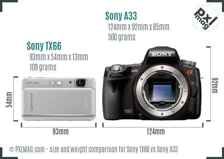 Sony TX66 vs Sony A33 size comparison