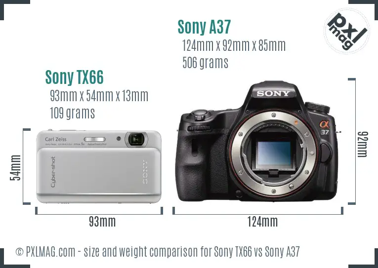Sony TX66 vs Sony A37 size comparison