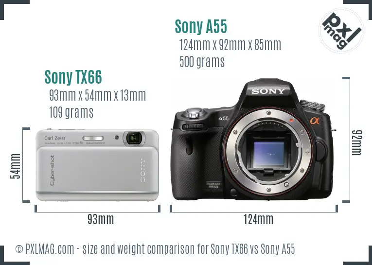 Sony TX66 vs Sony A55 size comparison