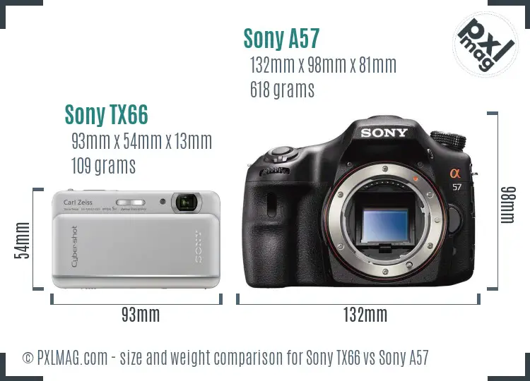 Sony TX66 vs Sony A57 size comparison