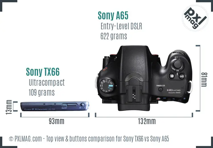 Sony TX66 vs Sony A65 top view buttons comparison