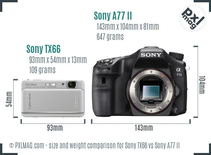Sony TX66 vs Sony A77 II size comparison
