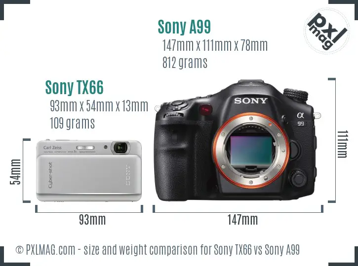Sony TX66 vs Sony A99 size comparison