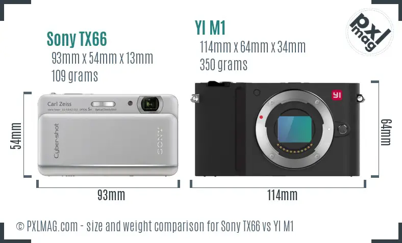 Sony TX66 vs YI M1 size comparison
