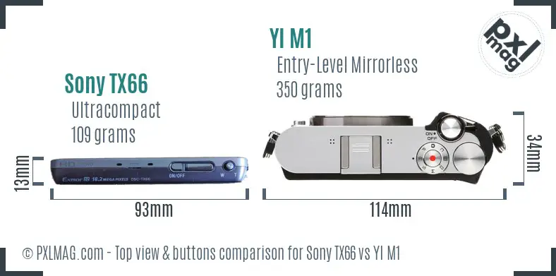 Sony TX66 vs YI M1 top view buttons comparison