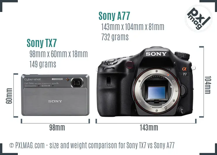 Sony TX7 vs Sony A77 size comparison
