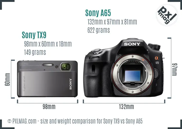Sony TX9 vs Sony A65 size comparison