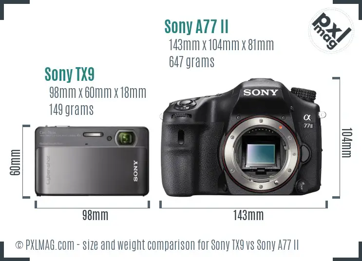 Sony TX9 vs Sony A77 II size comparison