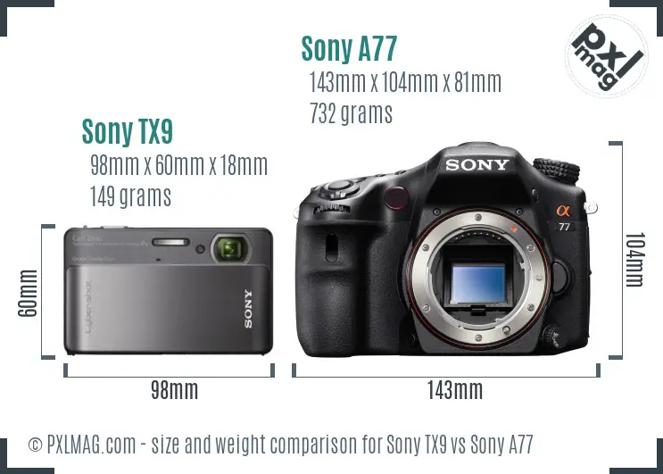 Sony TX9 vs Sony A77 size comparison