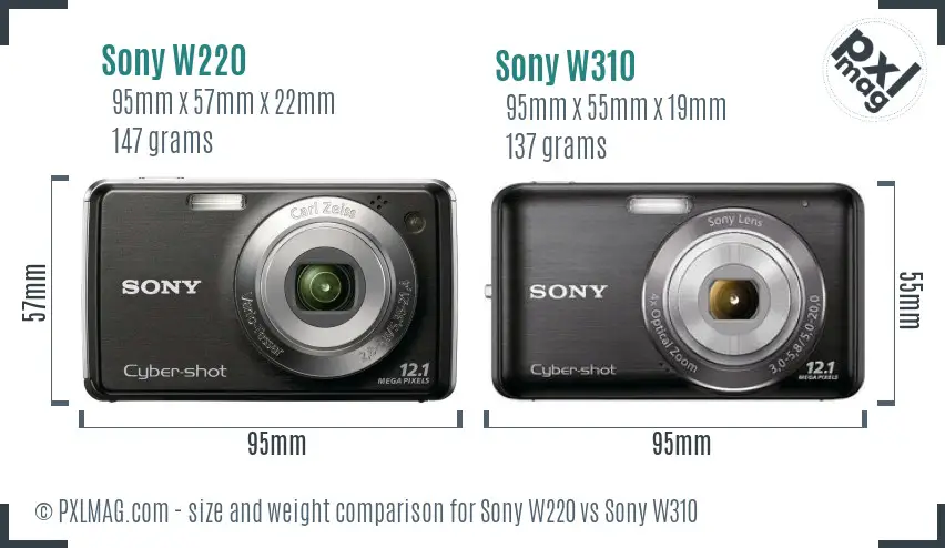 Sony W220 vs Sony W310 size comparison