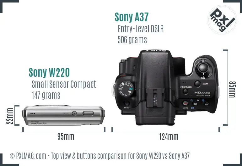 Sony W220 vs Sony A37 top view buttons comparison