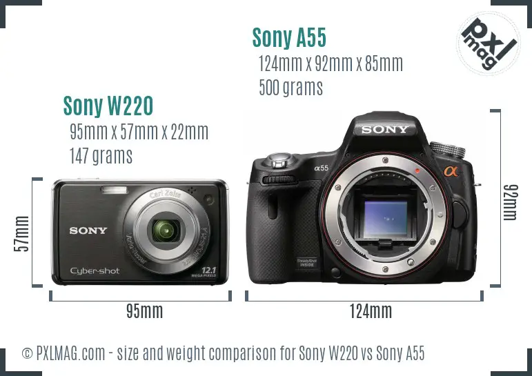Sony W220 vs Sony A55 size comparison