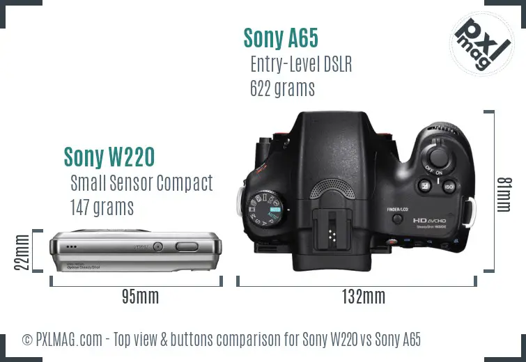 Sony W220 vs Sony A65 top view buttons comparison