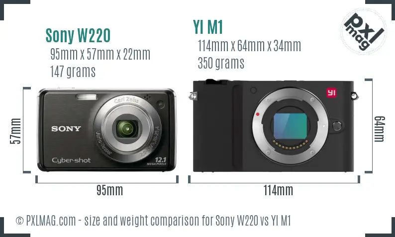 Sony W220 vs YI M1 size comparison