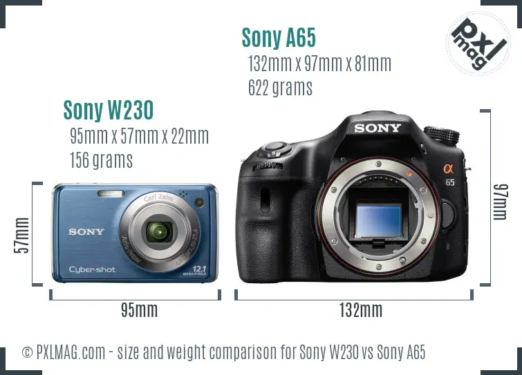 Sony W230 vs Sony A65 size comparison