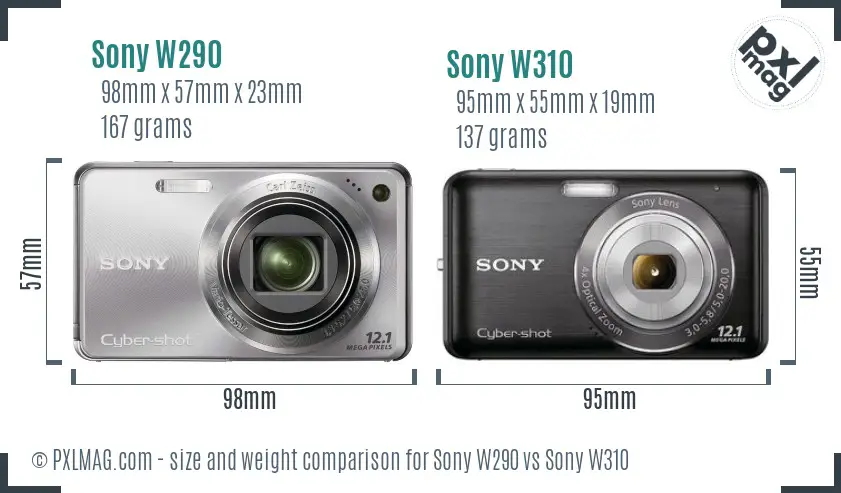 Sony W290 vs Sony W310 size comparison