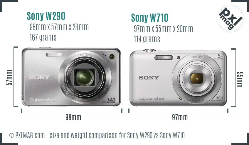 Sony W290 vs Sony W710 size comparison