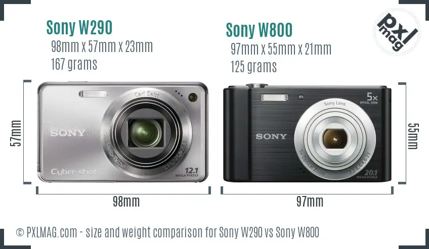 Sony W290 vs Sony W800 size comparison
