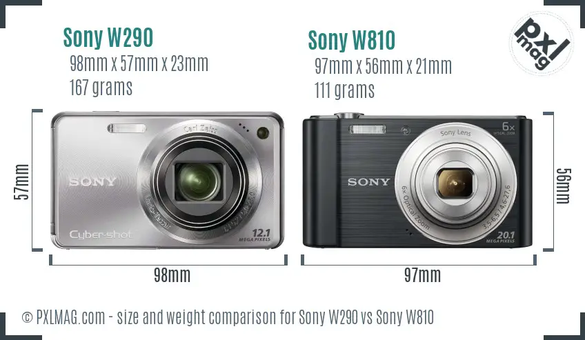 Sony W290 vs Sony W810 size comparison