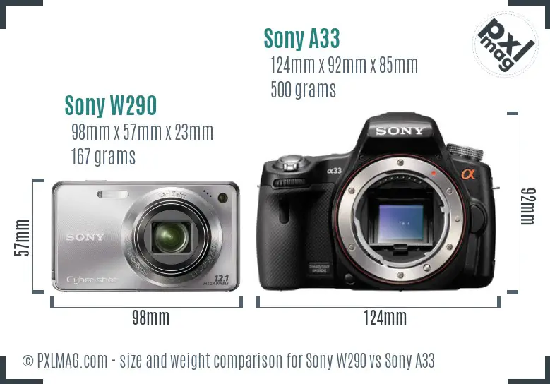 Sony W290 vs Sony A33 size comparison