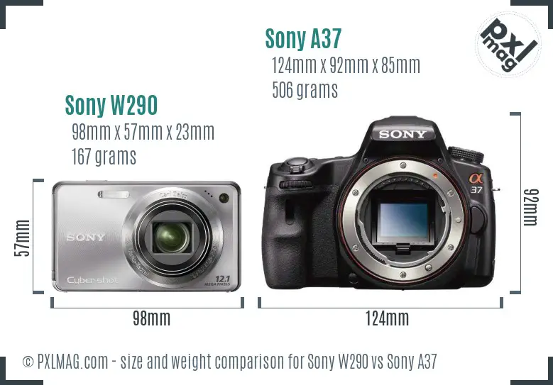 Sony W290 vs Sony A37 size comparison