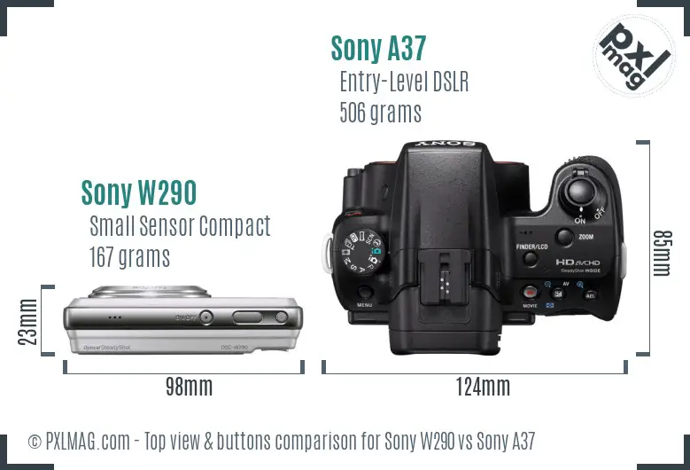Sony W290 vs Sony A37 top view buttons comparison