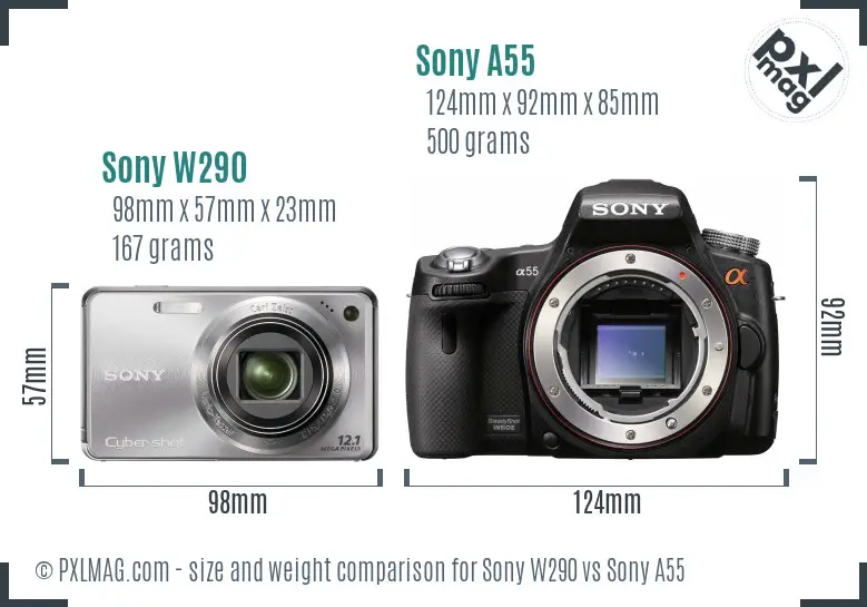 Sony W290 vs Sony A55 size comparison