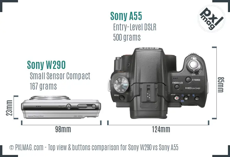 Sony W290 vs Sony A55 top view buttons comparison