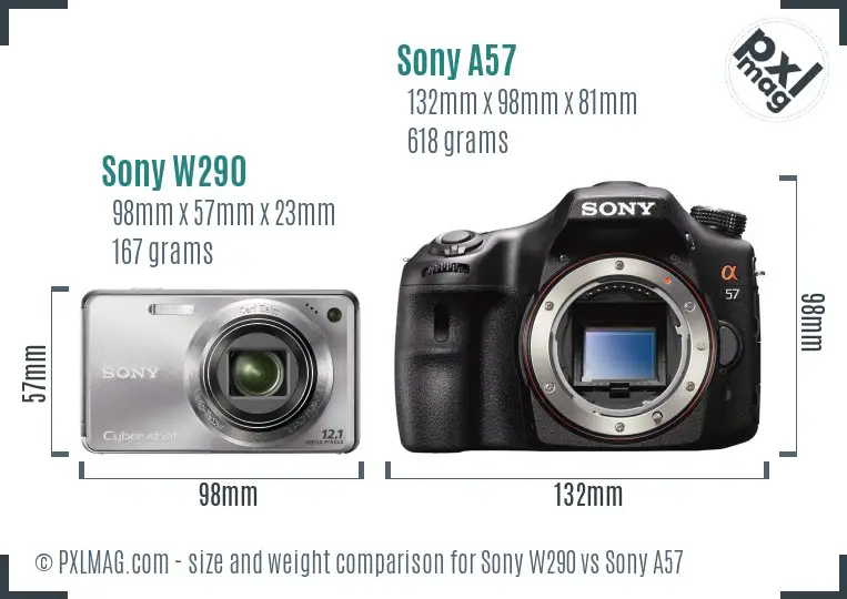 Sony W290 vs Sony A57 size comparison