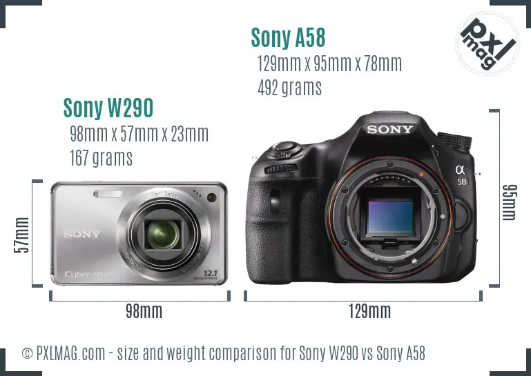 Sony W290 vs Sony A58 size comparison