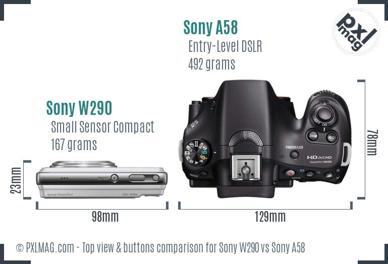 Sony W290 vs Sony A58 top view buttons comparison