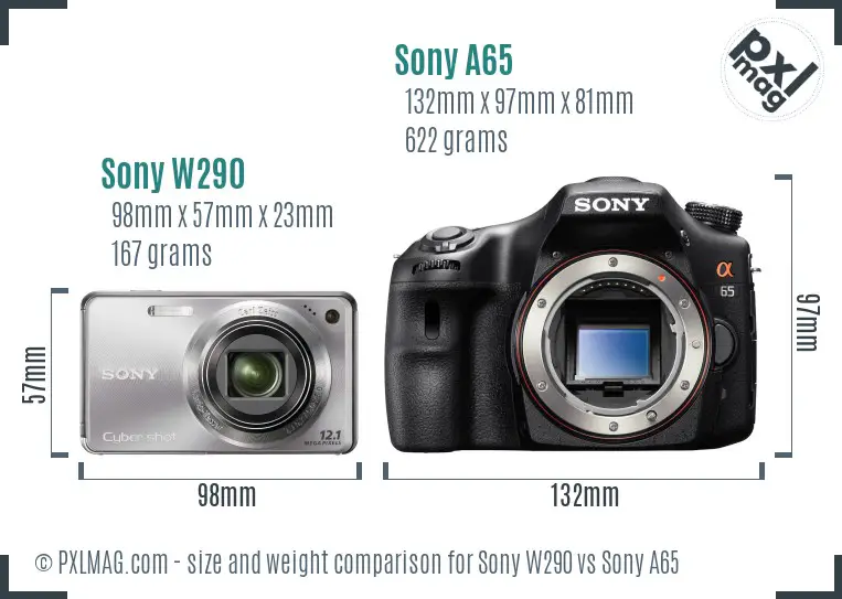 Sony W290 vs Sony A65 size comparison