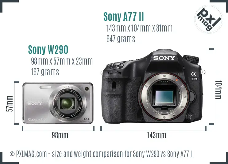 Sony W290 vs Sony A77 II size comparison