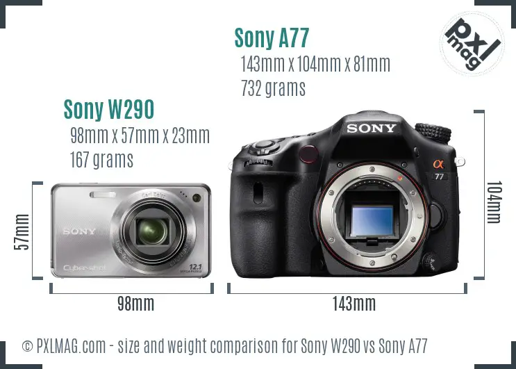 Sony W290 vs Sony A77 size comparison