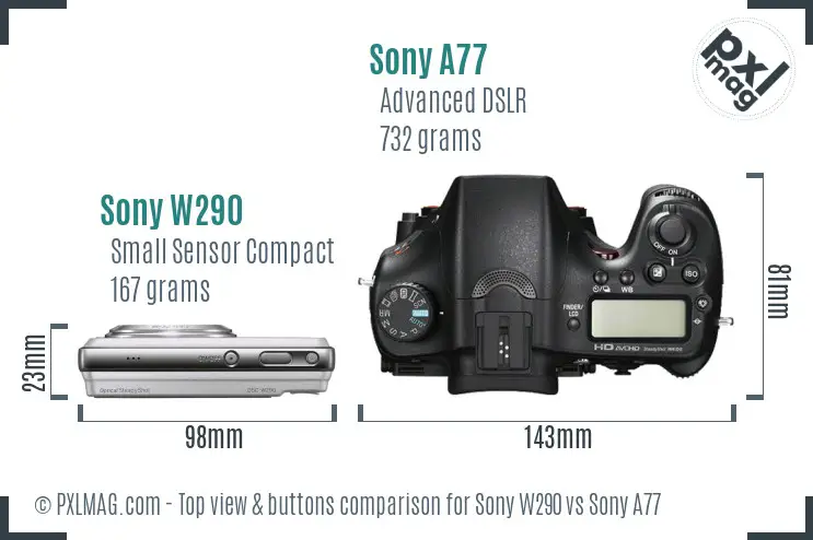Sony W290 vs Sony A77 top view buttons comparison
