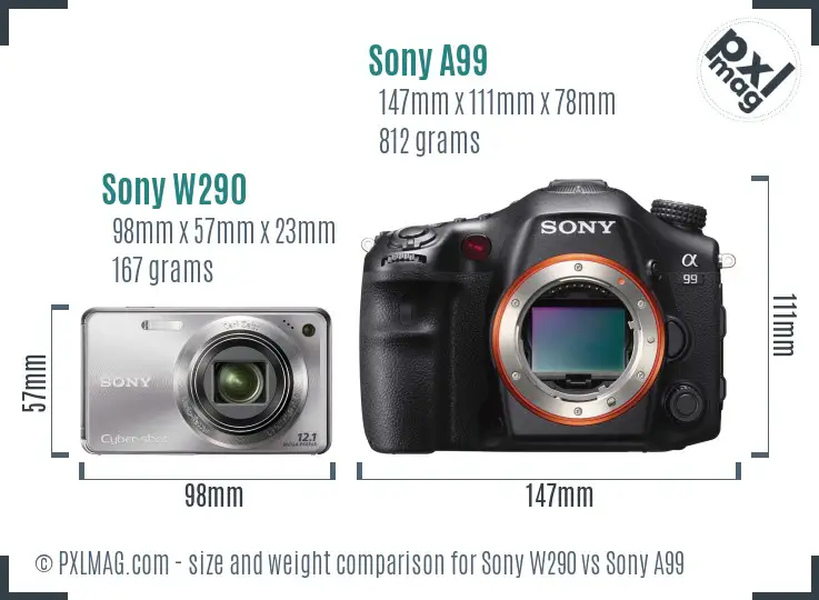 Sony W290 vs Sony A99 size comparison