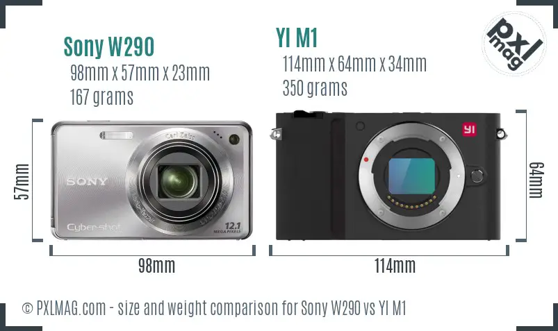 Sony W290 vs YI M1 size comparison