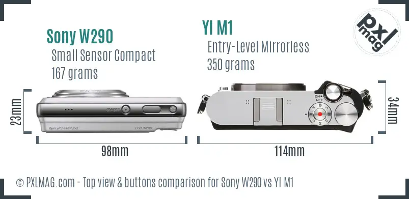 Sony W290 vs YI M1 top view buttons comparison