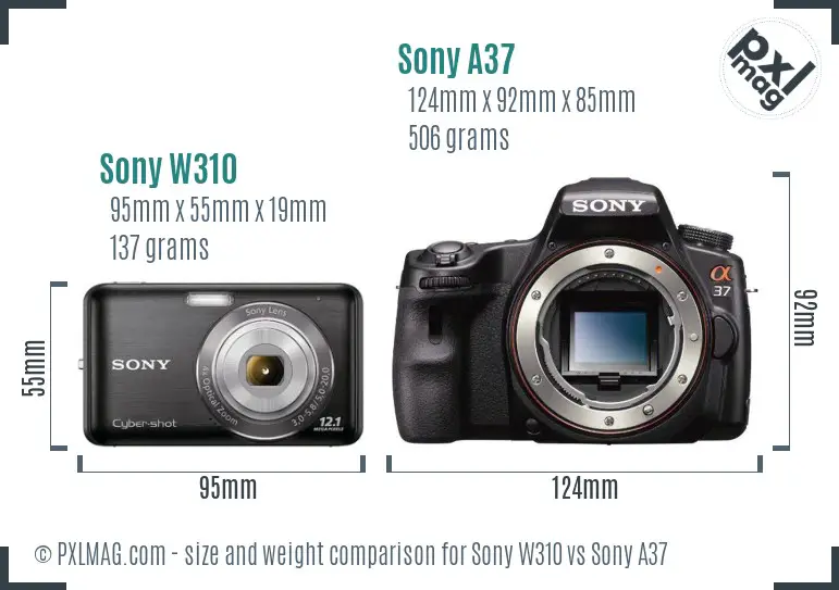 Sony W310 vs Sony A37 size comparison