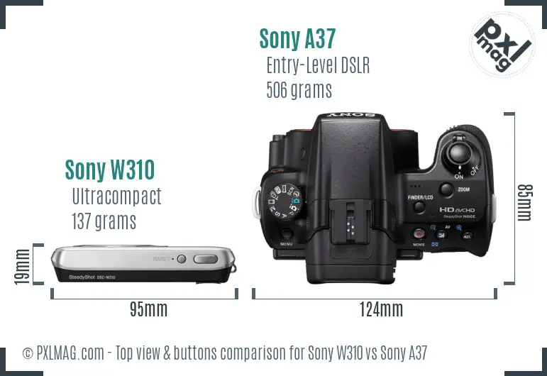 Sony W310 vs Sony A37 top view buttons comparison