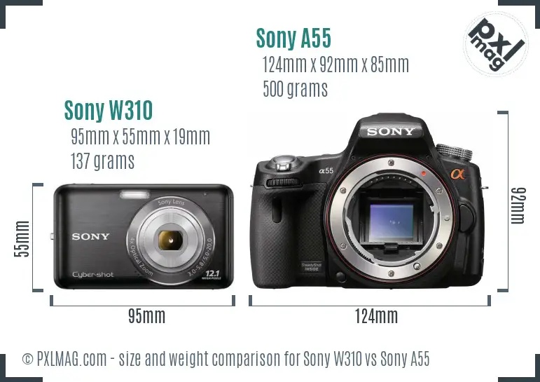 Sony W310 vs Sony A55 size comparison