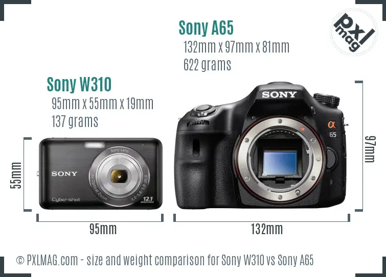 Sony W310 vs Sony A65 size comparison