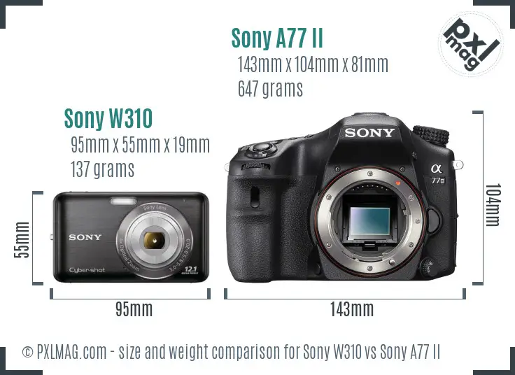 Sony W310 vs Sony A77 II size comparison