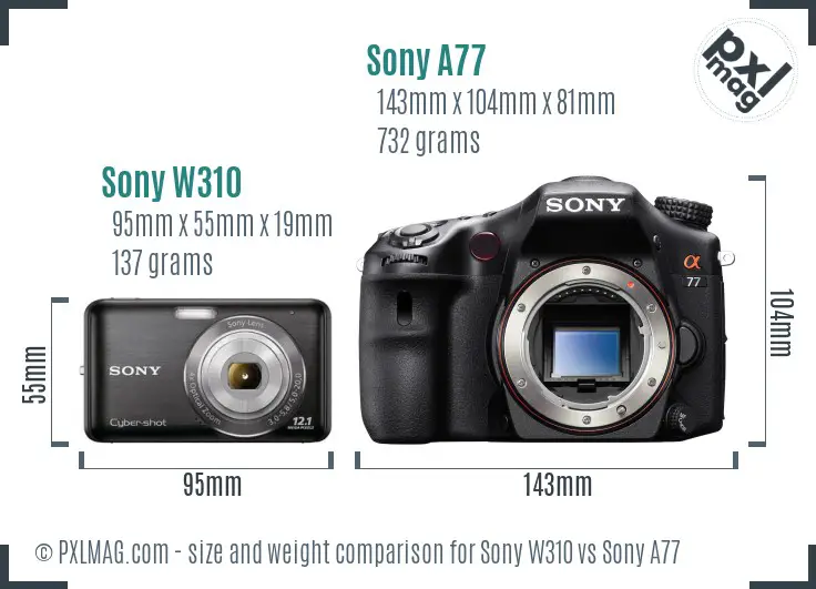 Sony W310 vs Sony A77 size comparison