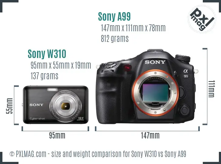 Sony W310 vs Sony A99 size comparison