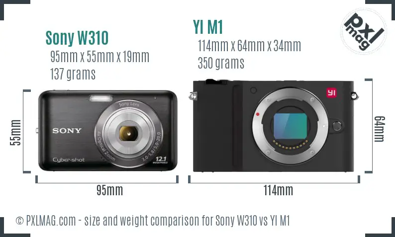 Sony W310 vs YI M1 size comparison