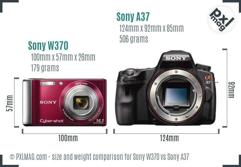 Sony W370 vs Sony A37 size comparison