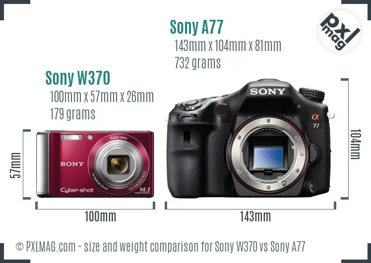 Sony W370 vs Sony A77 size comparison
