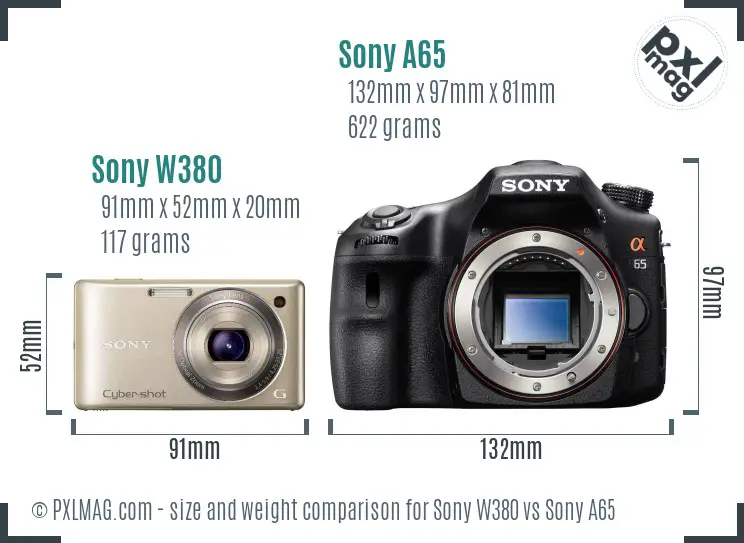 Sony W380 vs Sony A65 size comparison