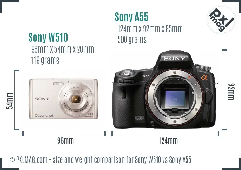 Sony W510 vs Sony A55 size comparison